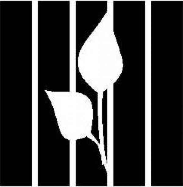 Логотип фонда: Центр содействия реформе уголовного правосудия