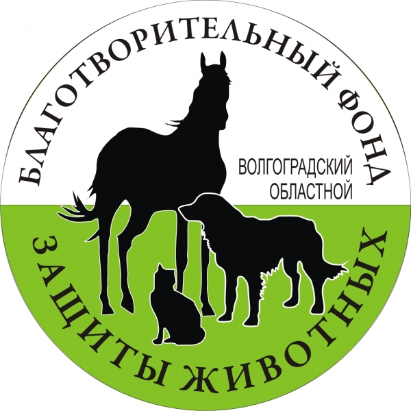 Логотип фонда: Волгоградский фонд защиты животных 