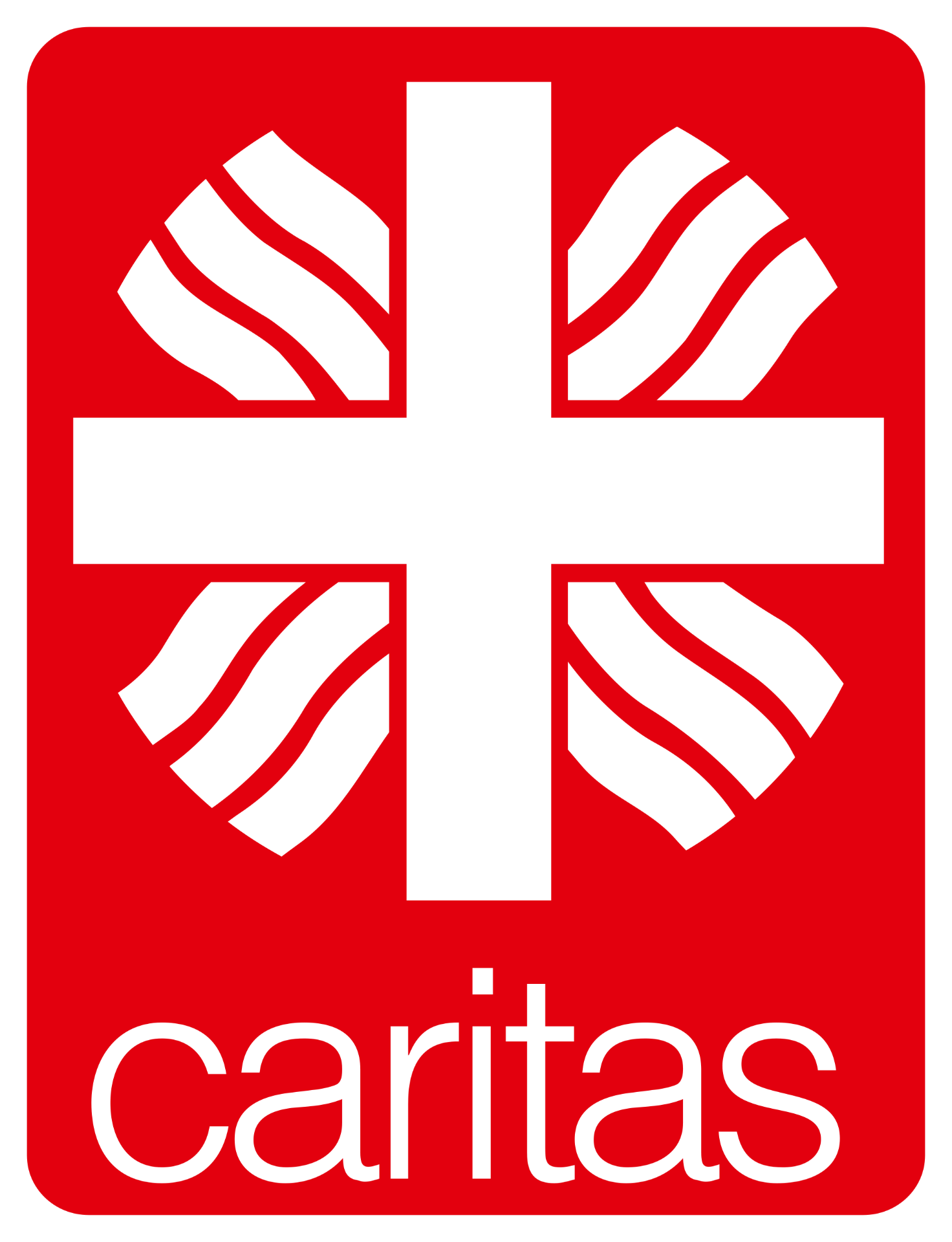 Логотип фонда: Религиозная организация Католический центр 